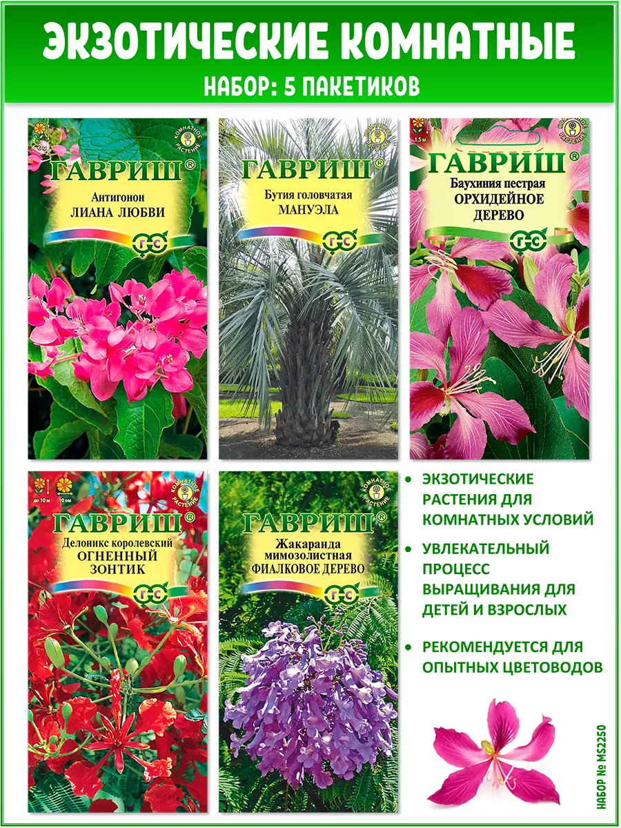 Экзотические комнатные растений набор 5 пакетиков