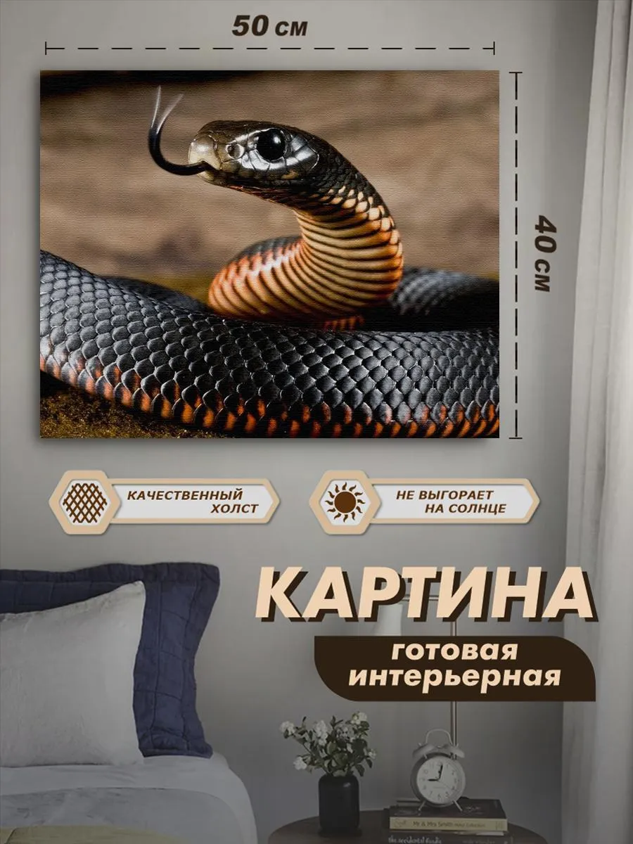 Королевская кобра в индии. Королевская ошейниковая змея. Желтобрюхий полоз. Змея повадки. Змея повадки.