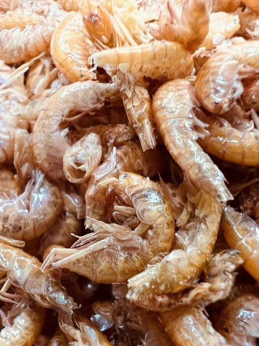 MANGRA exotic Корм сухой PROTEIN X5 Гаммарус тушка 250 мл для черепах, 650 мл, фото 4