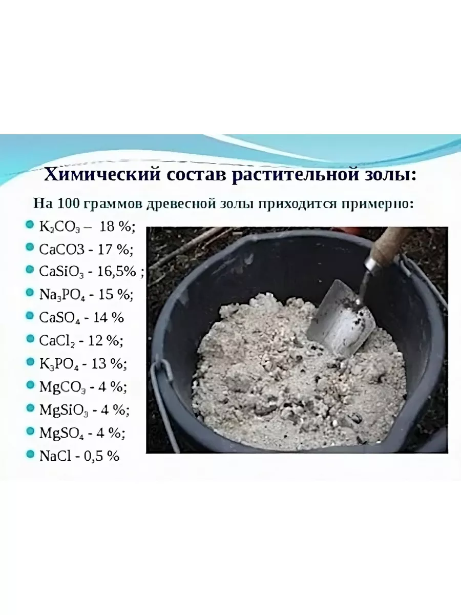 Зола подсолнечника удобрения для растений 5л. ЭкспертБиоОрганик 176000119  купить за 299 ₽ в интернет-магазине Wildberries