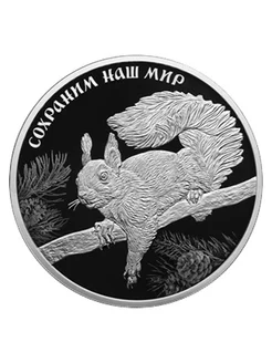 Россия 3 рубля, 2023. Сохраним наш мир. Белка обыкновенная Конрос 176026939 купить за 8 316 ₽ в интернет-магазине Wildberries