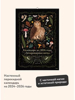Календарь до 2026 года "Зачарованная ночь" (обложка Сова) Издательство Манн, Иванов и Фербер 176051428 купить за 561 ₽ в интернет-магазине Wildberries