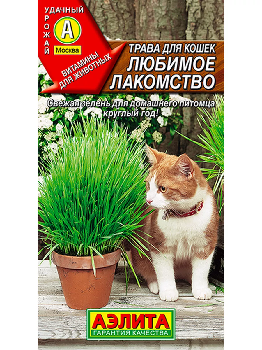 Семена Трава для кошек Любимое лакомство, 10г