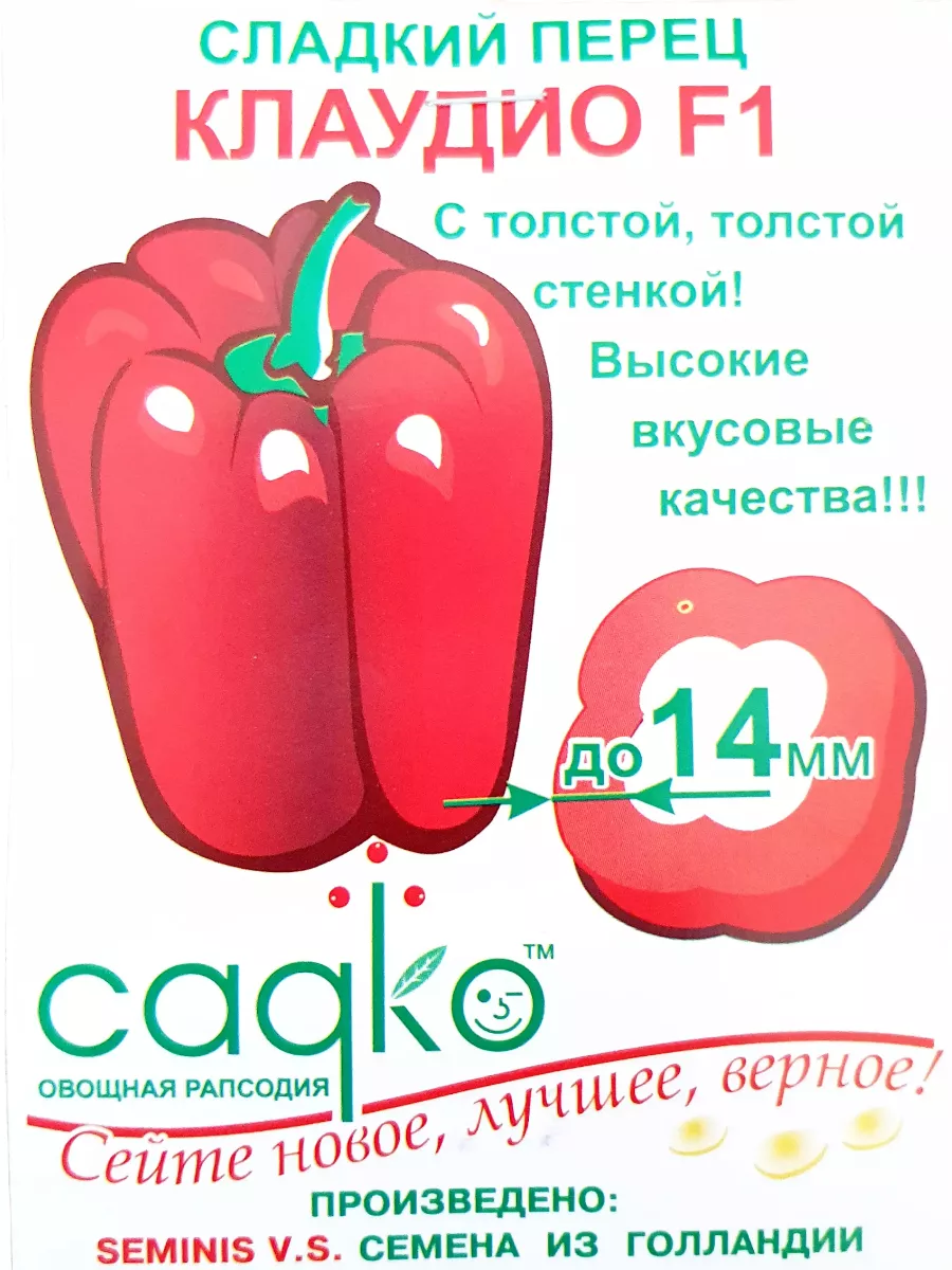 Садко семена нижний новгород