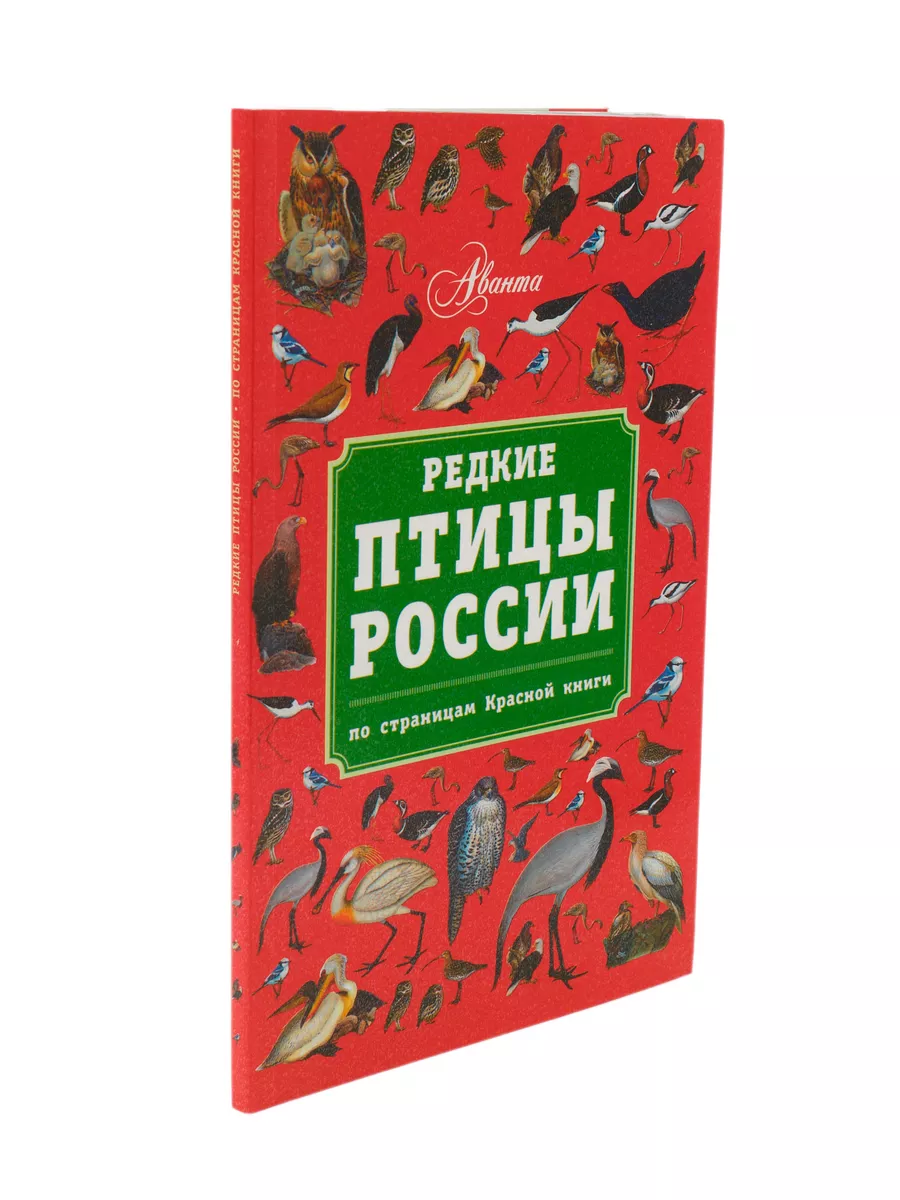 Редкие птицы России справочник. По страницам Красной книги Аванта 176335227  купить за 298 ₽ в интернет-магазине Wildberries