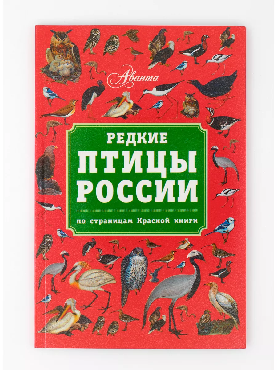 Редкие птицы России справочник. По страницам Красной книги Аванта 176335227  купить за 299 ₽ в интернет-магазине Wildberries