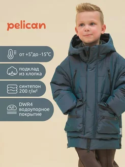 Осенняя куртка на синтепоне для детей PELICAN 176339922 купить за 5 307 ₽ в интернет-магазине Wildberries