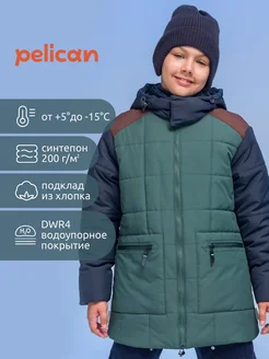 Куртка демисезонная для мальчика с капюшоном PELICAN 176339924 купить за 4 790 ₽ в интернет-магазине Wildberries