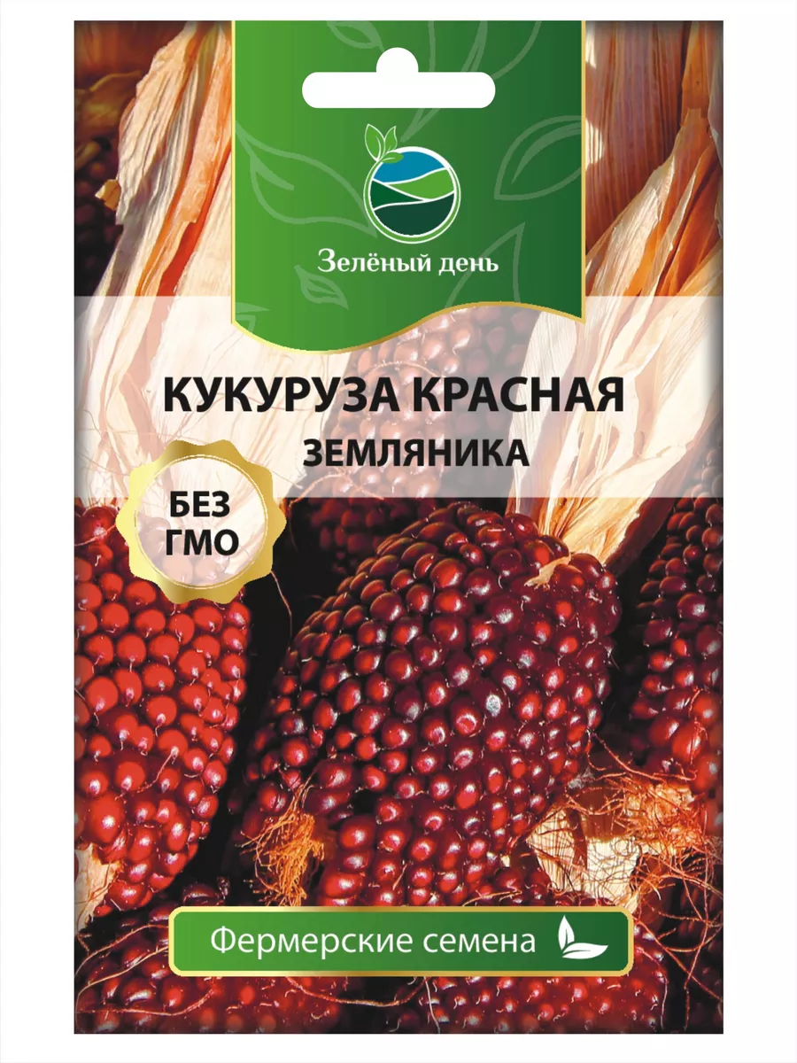 Чем полезна израильская кукуруза и в каком виде ее лучше есть