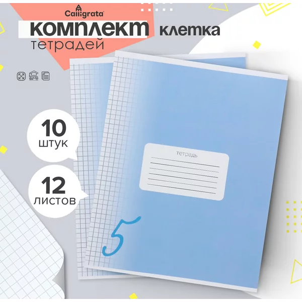 Тетрадь для учебы, 10 штук, 12 листов в клетку