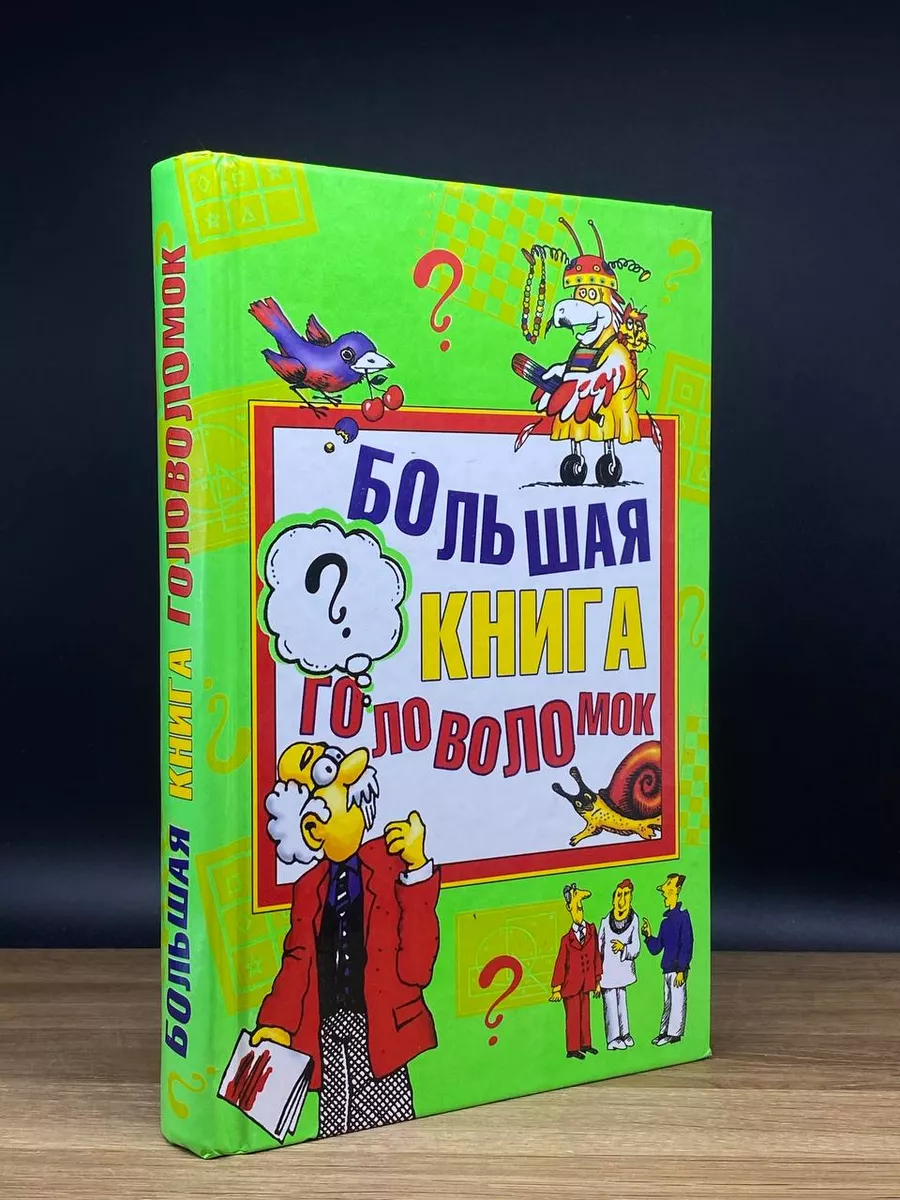 Большая книга головоломок