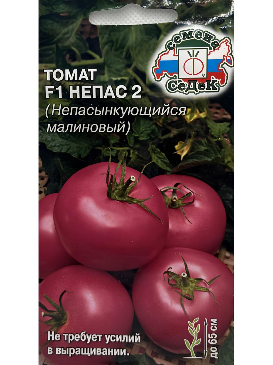 Томат Непас 2 малиновый. Сорт помидор Непас. Семена томата Непас. Непасынкующиеся томаты СЕДЕК.