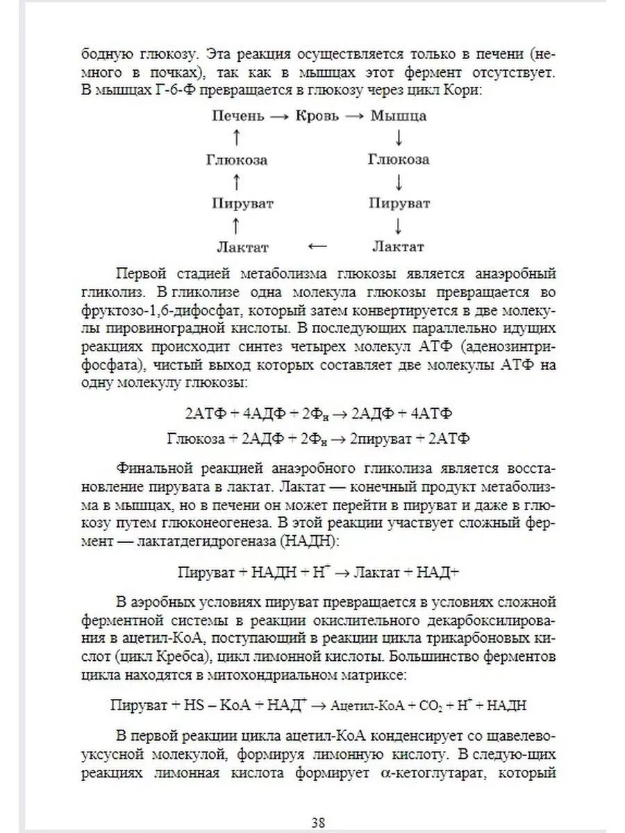 Собака Морфология и биохимия Издательство Лань 176533376 купить в  интернет-магазине Wildberries