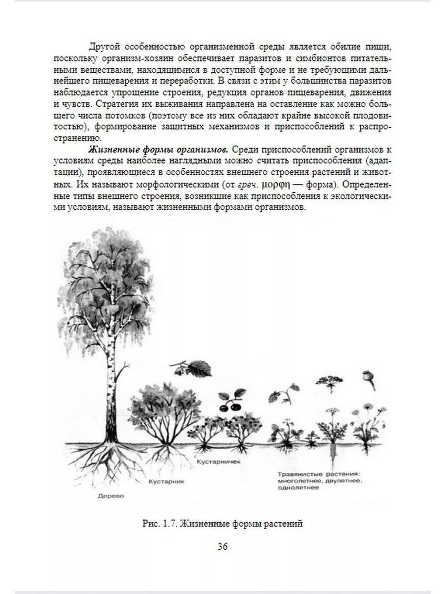 Экологические основы природопользования Издательство Лань 176533673 купить  за 554 ₽ в интернет-магазине Wildberries