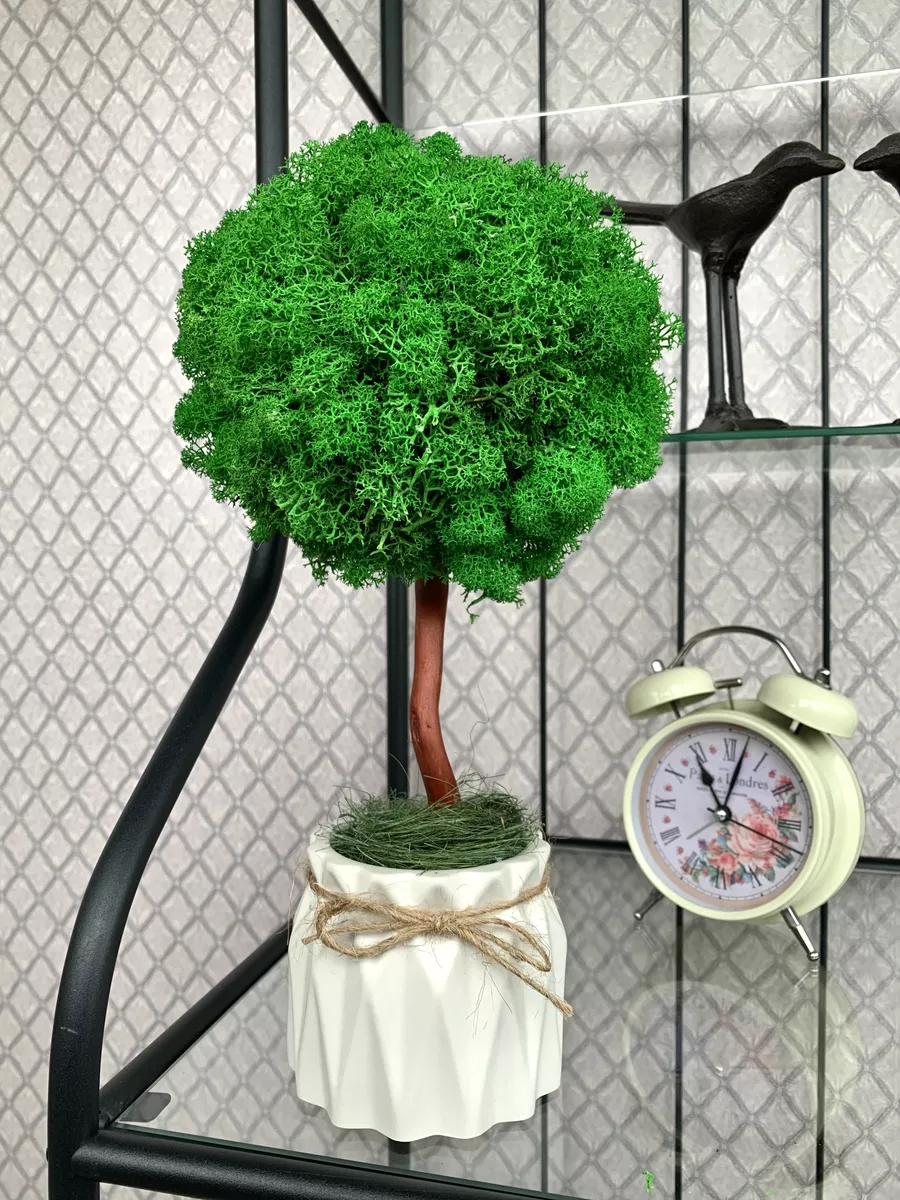 Топиарии, часы, Пано, озеленение