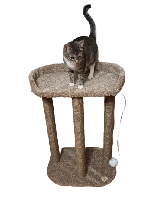 Моя Котя Когтеточка для кошки, коричневый