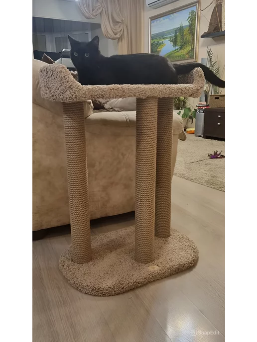 Моя Котя Когтеточка для кошки, коричневый, фото 2