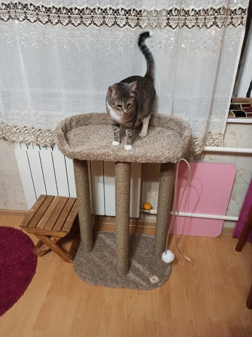 Моя Котя Когтеточка для кошки, коричневый, фото 6