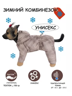 Зимний комбинезон для собак для малых пород DOGMODA 176637913 купить за 1 486 ₽ в интернет-магазине Wildberries