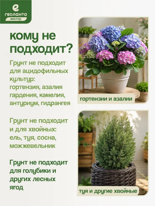 Геоланта Грунт универсальный для цветов 10 литров, вариант, фото 7