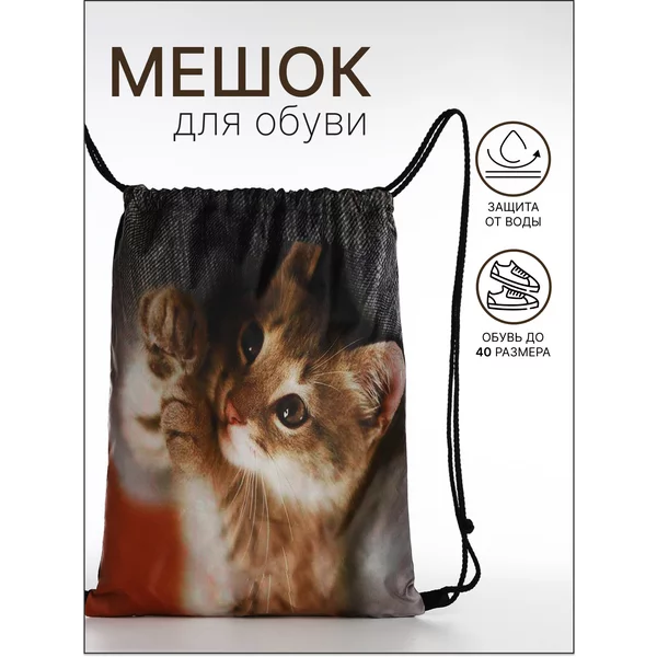 Мешок для обуви на шнурке