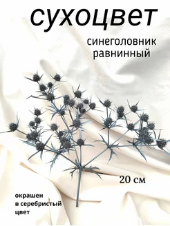 Сухоцвет синеголовник Анмавида 176719269 купить за 244 ₽ в интернет-магазине Wildberries