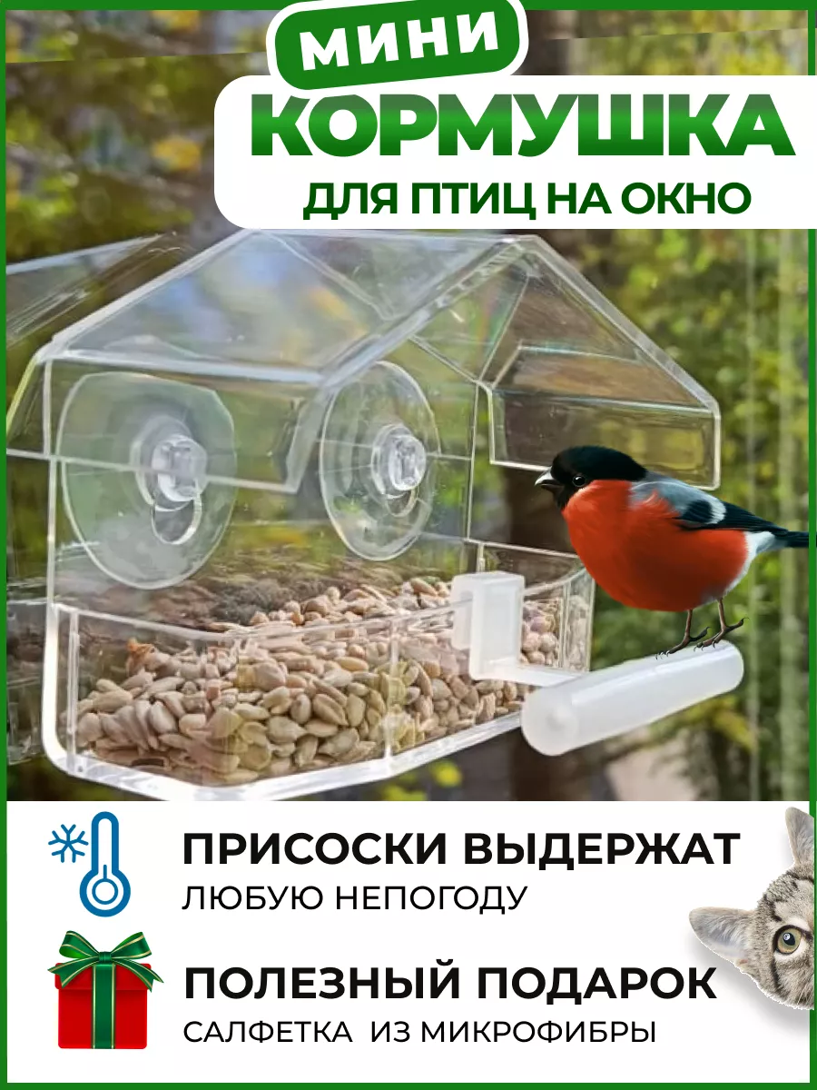 Кормушка для птиц на окно уличная на присосках подвесная Hungry Birds  176785081 купить в интернет-магазине Wildberries