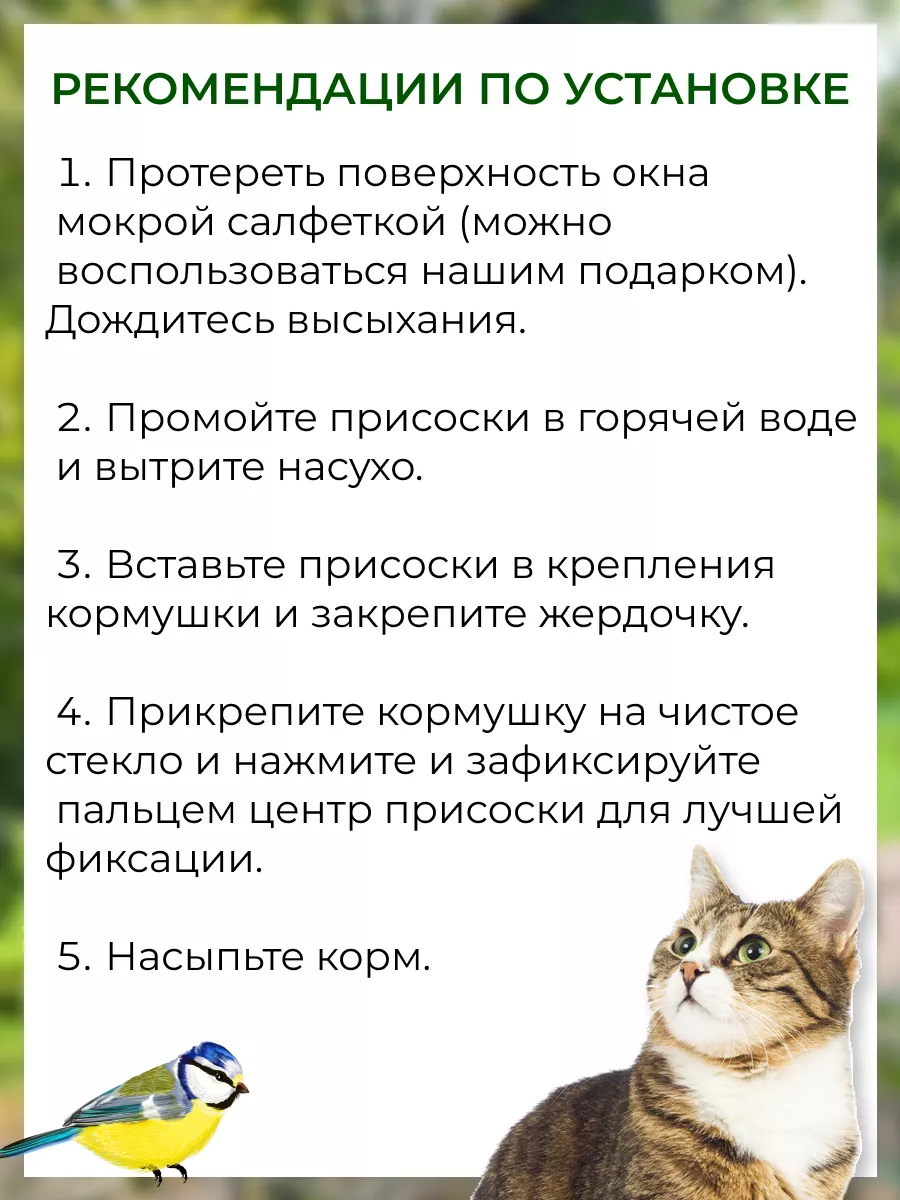 Кормушка для птиц на окно уличная на присосках подвесная Hungry Birds  176785081 купить в интернет-магазине Wildberries