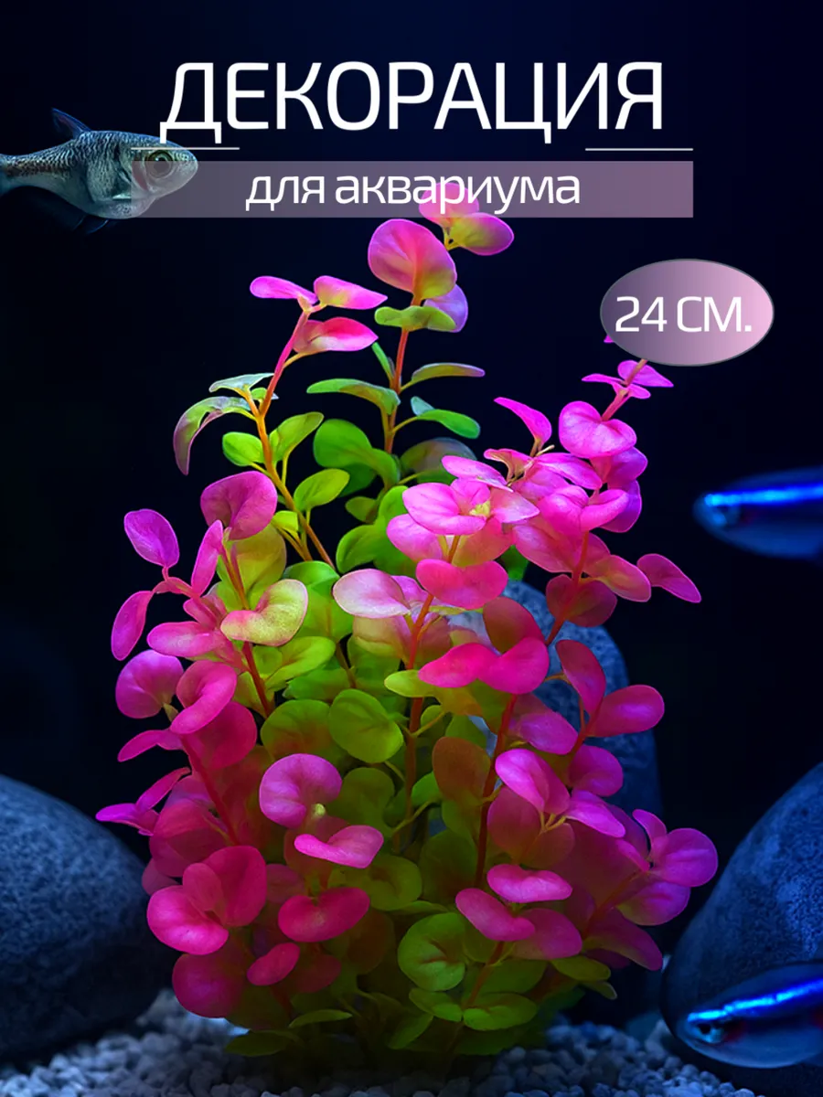 Декорация для аквариума 24 см.