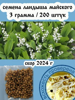 Семена ландыша Ландыш майский (около 200 семян/3грамма) 176797616 купить за 672 ₽ в интернет-магазине Wildberries