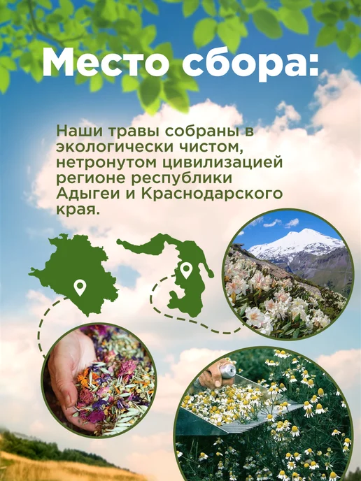 Родные травы Мята сушеная для чая трава, вариант, фото 2