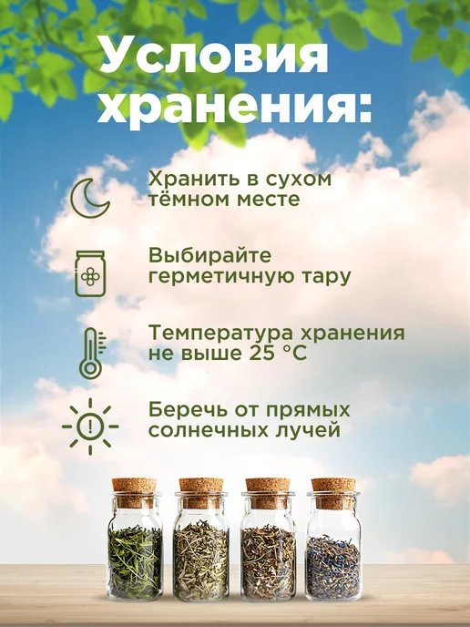 Родные травы Мята сушеная для чая трава, вариант, фото 4