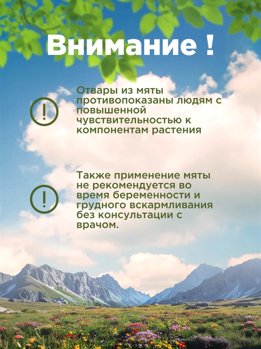 Родные травы Мята сушеная для чая трава, вариант, фото 5