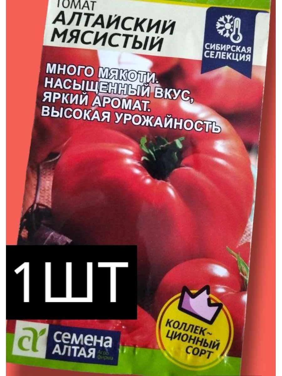 Томат алтайский красный характеристика. Томат Алтайский мясистый. Сорт помидор Алтайский мясистый. Томат Алтайский красный. Томат Алтайский сахарный.