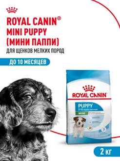 Сухой корм для щенков мелких пород до 10 месяцев,2 кг Royal Canin 176855689 купить за 1 515 ₽ в интернет-магазине Wildberries