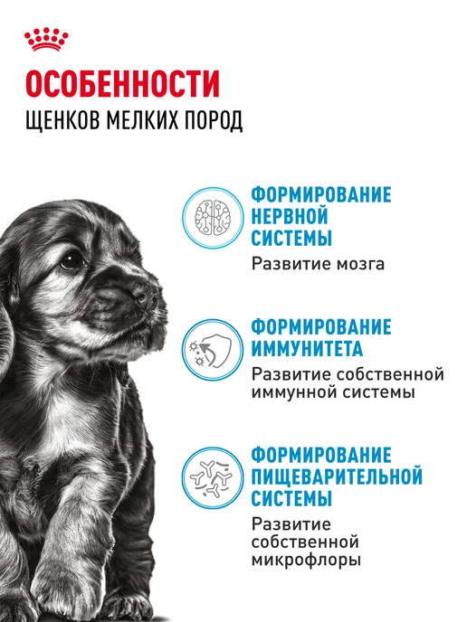 Сухой корм Royal canin для собак, мелкие, щенки, 2 кг, фото 2