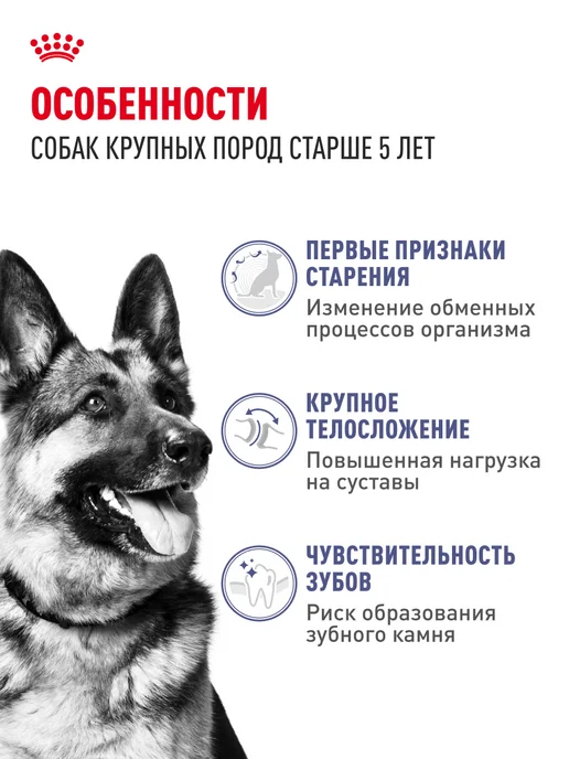 Сухой корм Royal canin для собак, крупные, 15 кг, фото 2