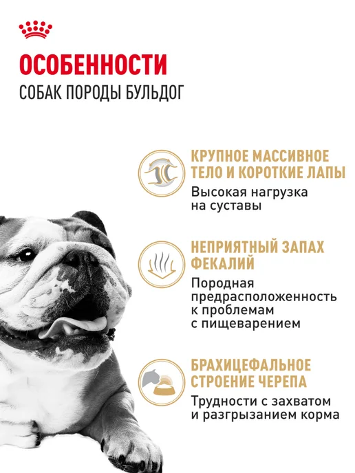 Сухой корм Royal canin Бульдог для собак, взрослые, 12 кг, фото 2