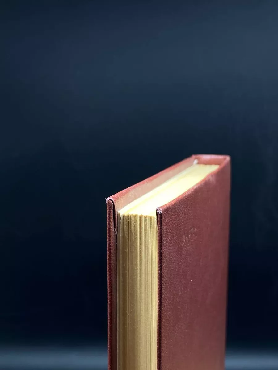 Фото 4
