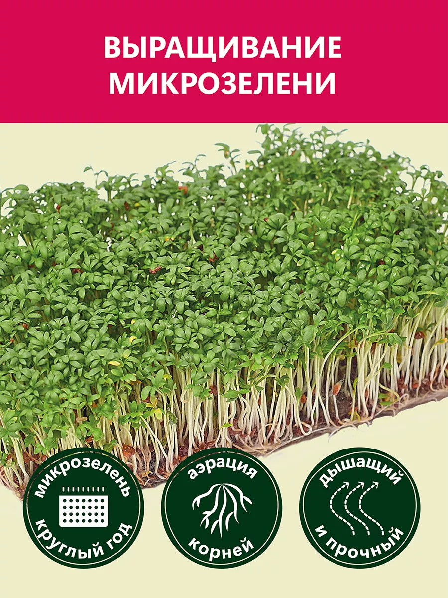 Африканские улитки: описание, размножение и заболевания