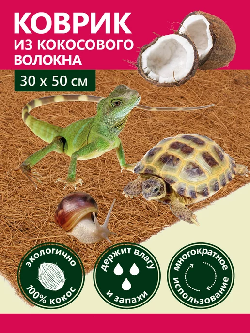 GARDEN SHOW Коврик из кокосового волокна, 30х50 см