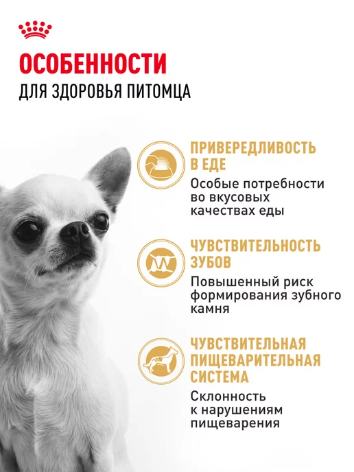 Сухой корм Royal canin Чихуахуа Chihuahua для собак, взрослые, 1,5 кг, фото 2