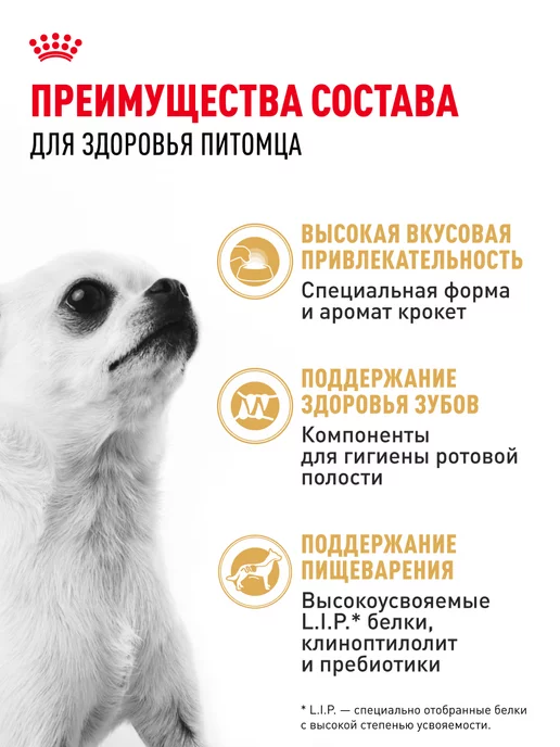 Сухой корм Royal canin Чихуахуа Chihuahua для собак, взрослые, 1,5 кг, фото 3