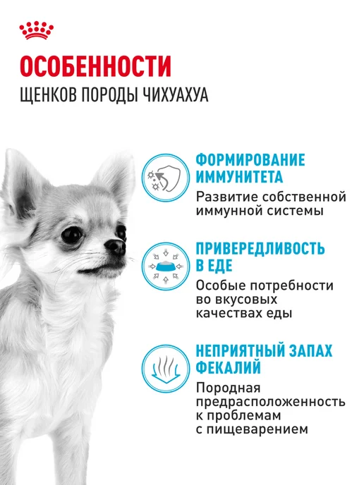 Сухой корм Royal canin Чихуахуа для собак, щенки, 0,5 кг, фото 2