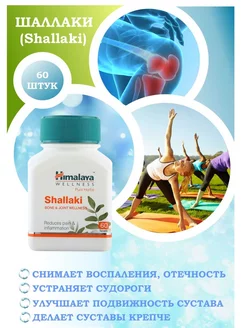 Шаллаки (Shallaki), Himalaya Herbals, 60 таб Cool Pharmacy 176885571 купить за 364 ₽ в интернет-магазине Wildberries