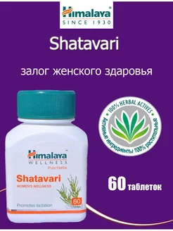 Шатавари, Shatavari, Himalaya Herbals, 60 таб. (250мг) Cool Pharmacy 176885573 купить за 331 ₽ в интернет-магазине Wildberries