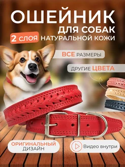 Ошейник для собак кожаный YourPetStore 176950982 купить за 461 ₽ в интернет-магазине Wildberries