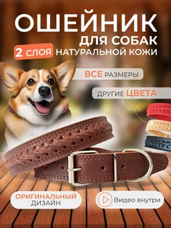 Ошейник для собак кожаный YourPetStore 176954874 купить за 503 ₽ в интернет-магазине Wildberries