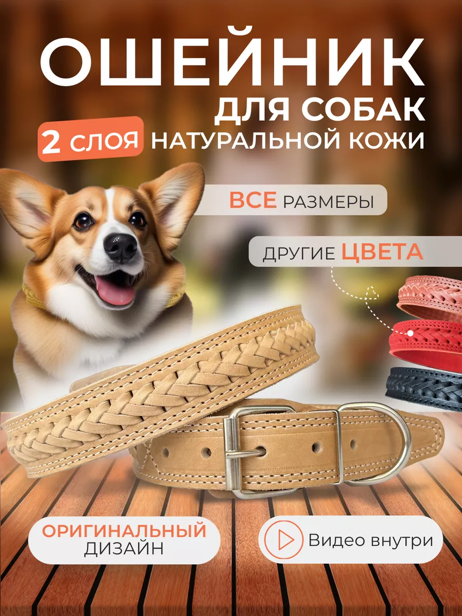 Ошейник для собак кожаный