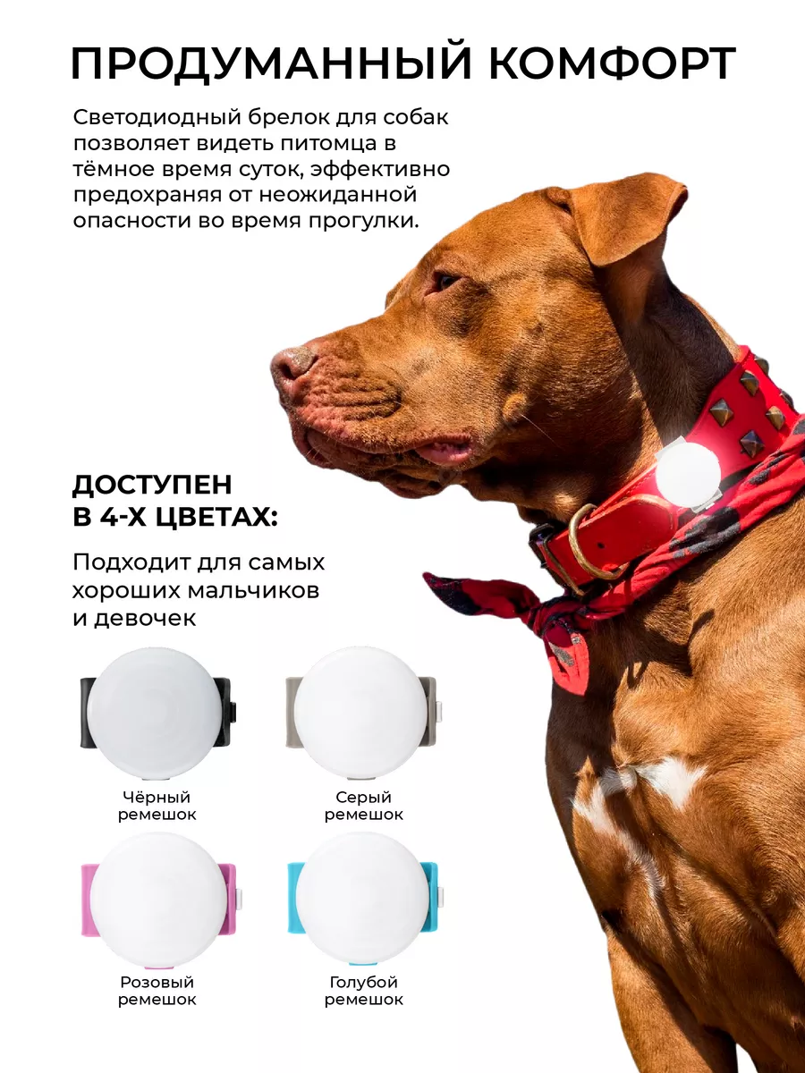 Светодиодный брелок для собак на ремешке Pet-it 176977276 купить за 761 ₽ в  интернет-магазине Wildberries